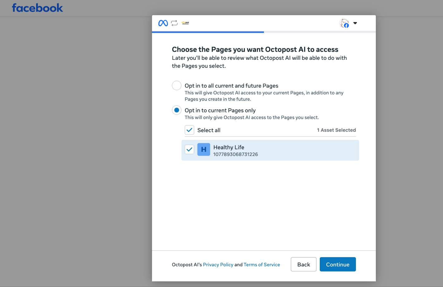 Connect your Facebook Pages